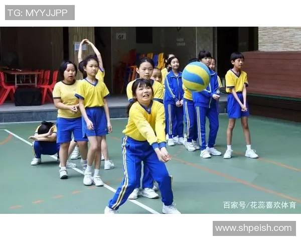 西安排球队战术解析与排球焦点的深度探讨