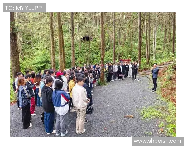 南京街舞队技术对比深度解析与风格特色探讨