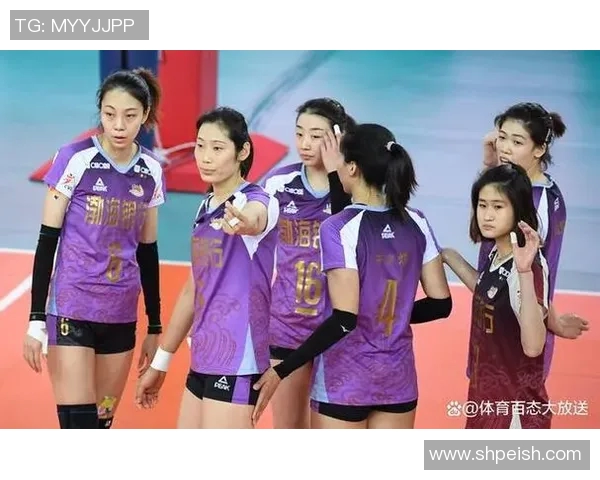 广州排球队实力引发热议球迷对其表现褒贬不一